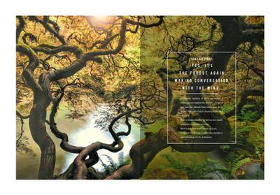 Ireo Five River Brochure 3