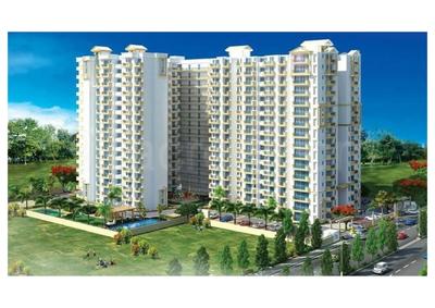 MR Platinum 321 Brochure 3