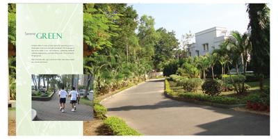 Avidipta Brochure 4