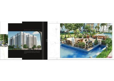 DMD Spring Valley Brochure 11