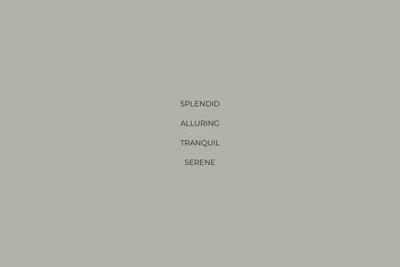ACE Divino Brochure 6