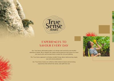Pandit Mayflower Brochure 8