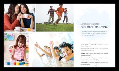 TVH Taus Brochure 8