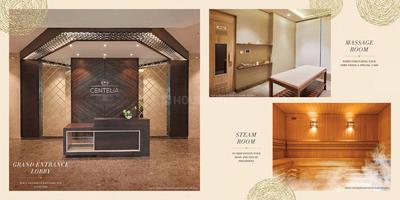 ACME Eucalyptia Brochure 11