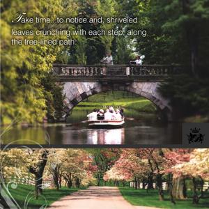 CHD Avenue 71 Brochure 6