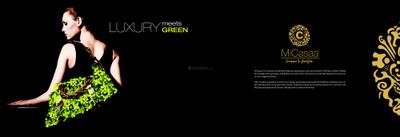 Gagan Micasaa Phase 2 Brochure 4