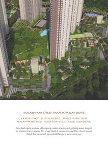 Alembic Cloud Forest Brochure 7
