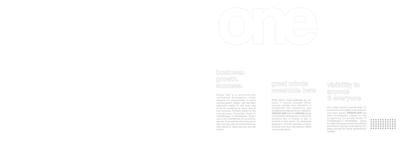 Nirgun One Brochure 12