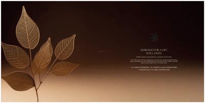 DAC Balmandaisa Brochure 5