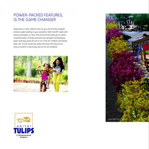 Aditri Tulips Brochure 6