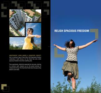 Expression Exotica Brochure 7
