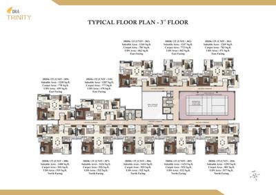 DRA Trinity Brochure 21