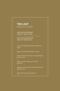 SS The Leaf Brochure 19