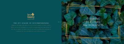 IVY County Brochure 3