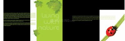 HM Tropical Tree Brochure 2