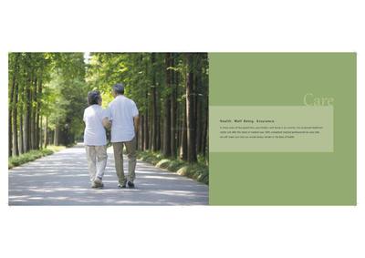 DLF Westend Heights  Brochure 9