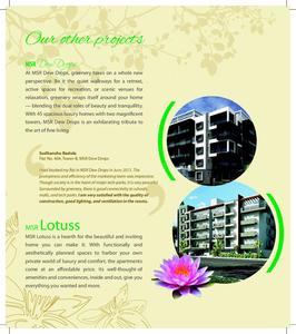 MSR Daffodils Brochure 10