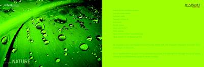 Tharwani Vedant Millenia Brochure 9