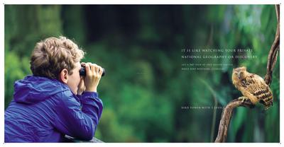 Canary Farms Brochure 14