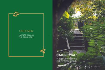 Treeland Brochure 5