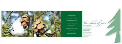 Siddha Pines Brochure 3