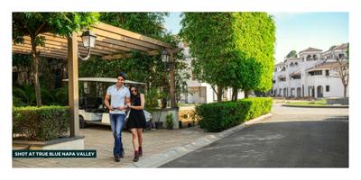 True Blue Napa Valley Brochure 24