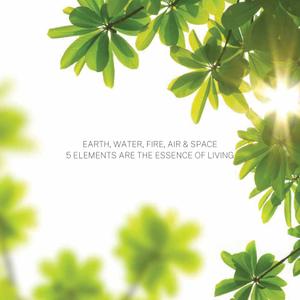 Preeti Elements 5 Brochure 4