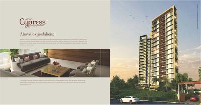 Apollo Cypress Brochure 3