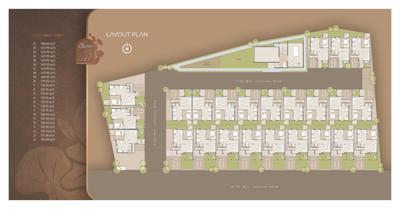Orchid 24 Brochure 4