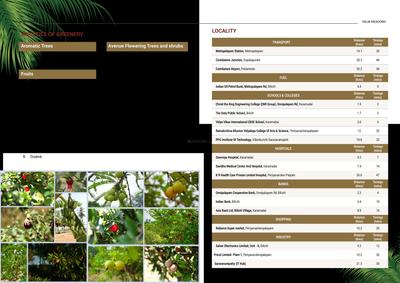Palm Meadows Brochure 4