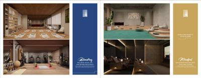The Linea Brochure 17