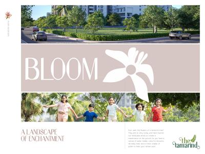 The Tamarind Brochure 8