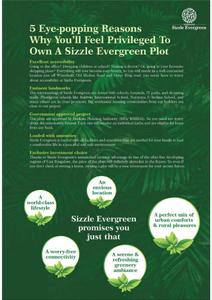 Sizzle Varada Sizzle Evergreen Brochure 5