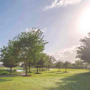 T Homes Phase 1 Brochure 9