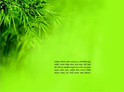 Image of 481 Sq.ft 2 BHK Apartment / Flat for sale in Shrachi Dakhinatya, Baruipur P, Kolkata for Rs. 1250000