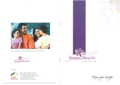 Image of 1700 Sq.ft 3 BHK Apartment / Flat for sale in DSR Spring Beauty, Brookefield, Bengaluru for Rs. 26500000