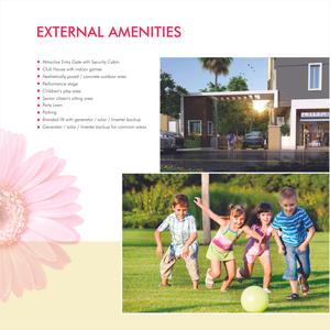 Global Morella Brochure 8