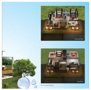 Maple Echtuo Brochure 19