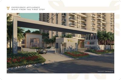 ACE Terra Brochure 9