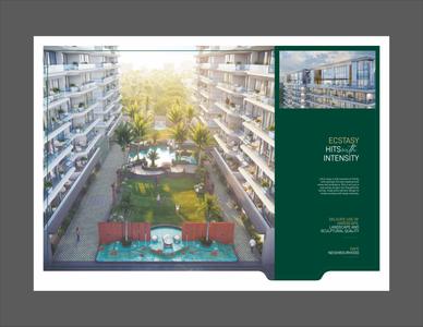 Courtyard Trinity Brochure 8