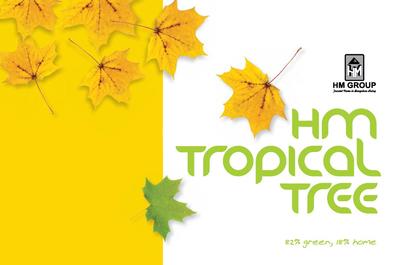 HM Tropical Tree Brochure 1