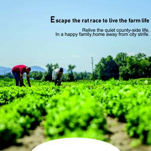 Golden Grass Brochure 4