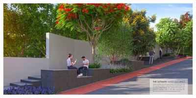 ARK Oak Tree Brochure 13
