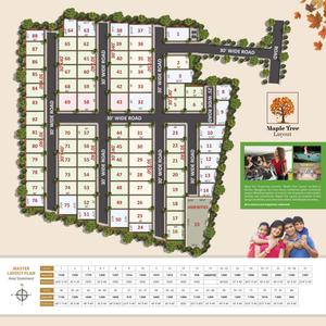 Maple Tree Brochure 3