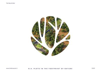 The Blue Oak Brochure 2