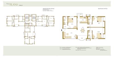 Avidipta Brochure 11
