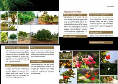 Palm Meadows Brochure 3