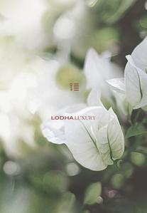 Lodha Park Brochure 47