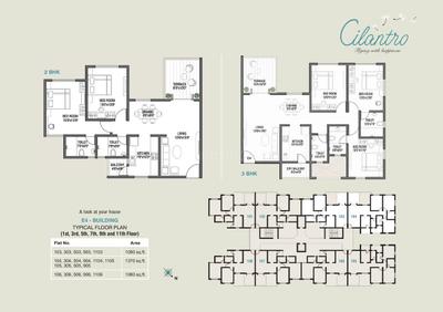 Kolte Patil Cilantro Brochure 8