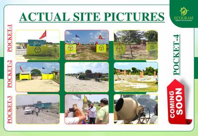 Ecogram Brochure 5